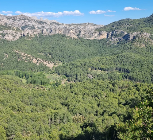 La raja